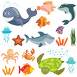 Marine animals set