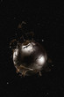 Leaves twirling around globe