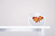 Goldfishes in bowl on table