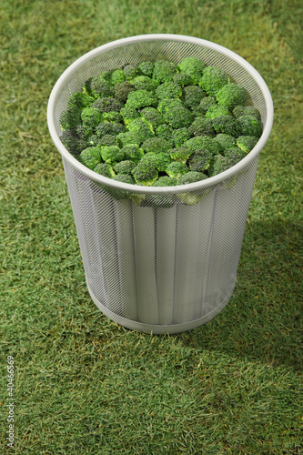 Photo: Dustbin filled with broccoli Dustbin filled with broccoli