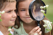 Children with a magnifying glass