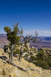 Grand Canyon Grand Canyon