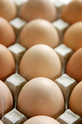 Photo: Eggs in a carton. Eggs in a carton.