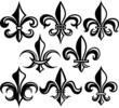 fleur de lys shield design