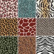 seamless animal swatch