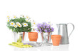 Spring Planting With Tools