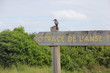 Guadeloupe - Pointe des Châteaux