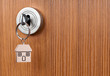 Silver Key in the brown door