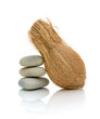 coconut and sea stones on a white background