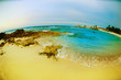 Seascape fisheye view. Isla Mujeres, Mexico