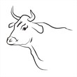 Rind005