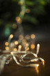 Christmas lights