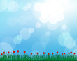 meadow silhouettes