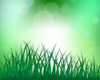 meadow silhouettes