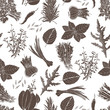 Culinary herbs background