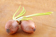 Küchenzwiebel
