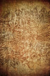 grunge floral background with space for text or image grunge floral background with space for text or image