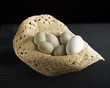 eggs in hat