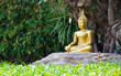 gold image of buddha under Bodhi tree gold image of buddha under Bodhi tree