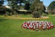 park