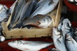 Fresh fish Fresh fish