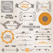 Vector Set: Calligraphic Design Elements and Page Decoration