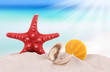 shells and starfish on sand beach