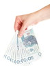 Polish money isolated in hand