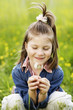 Little girl blowing the dandelion