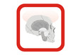 App - Medizin