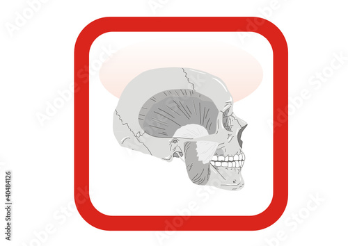 Vektor: App - Medizin App - Medizin