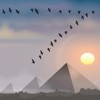 Pyramides et migrateurs