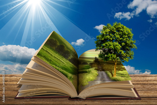 Illustration: libro con albero libro con albero