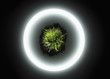 Round neon light surrounding a patch of grass in soil