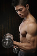 Muscular man exercising with dumbbells