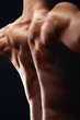 Back of a muscular man