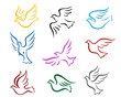 Pigeons and doves