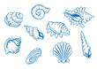 Set of ocean seashells