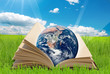 Illustration: libro con mondo libro con mondo