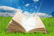 Illustration: libro con lettere libro con lettere