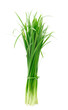 Foto: Leek on white background Leek on white background