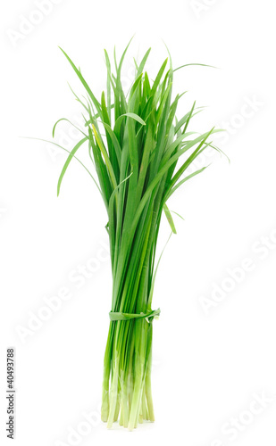 Photo: Leek on white background Leek on white background