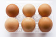 six eggs in the plastic box