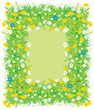 Border of field flowers and grass