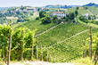vineyar near Tana, Asti Region, Piedmont, Italy