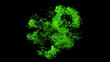 Shake the green precipitate