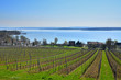 Bodensee bei Überlingen