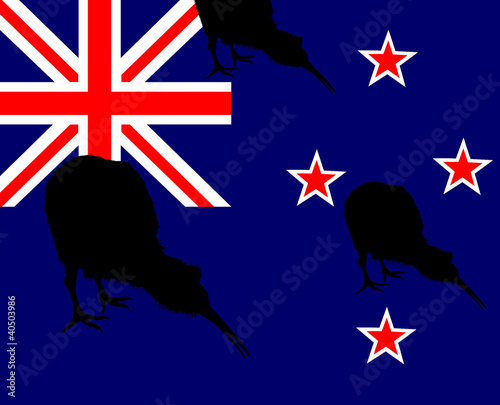Illustration: Kiwi bird silhouette, flag New Zealand Kiwi bird silhouette, flag New Zealand