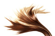healthy hair