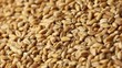 Grain
